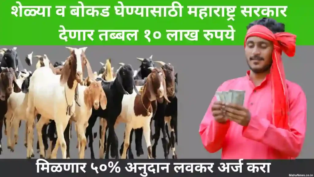 Maharashtra Sheli Palan Yojana 2023