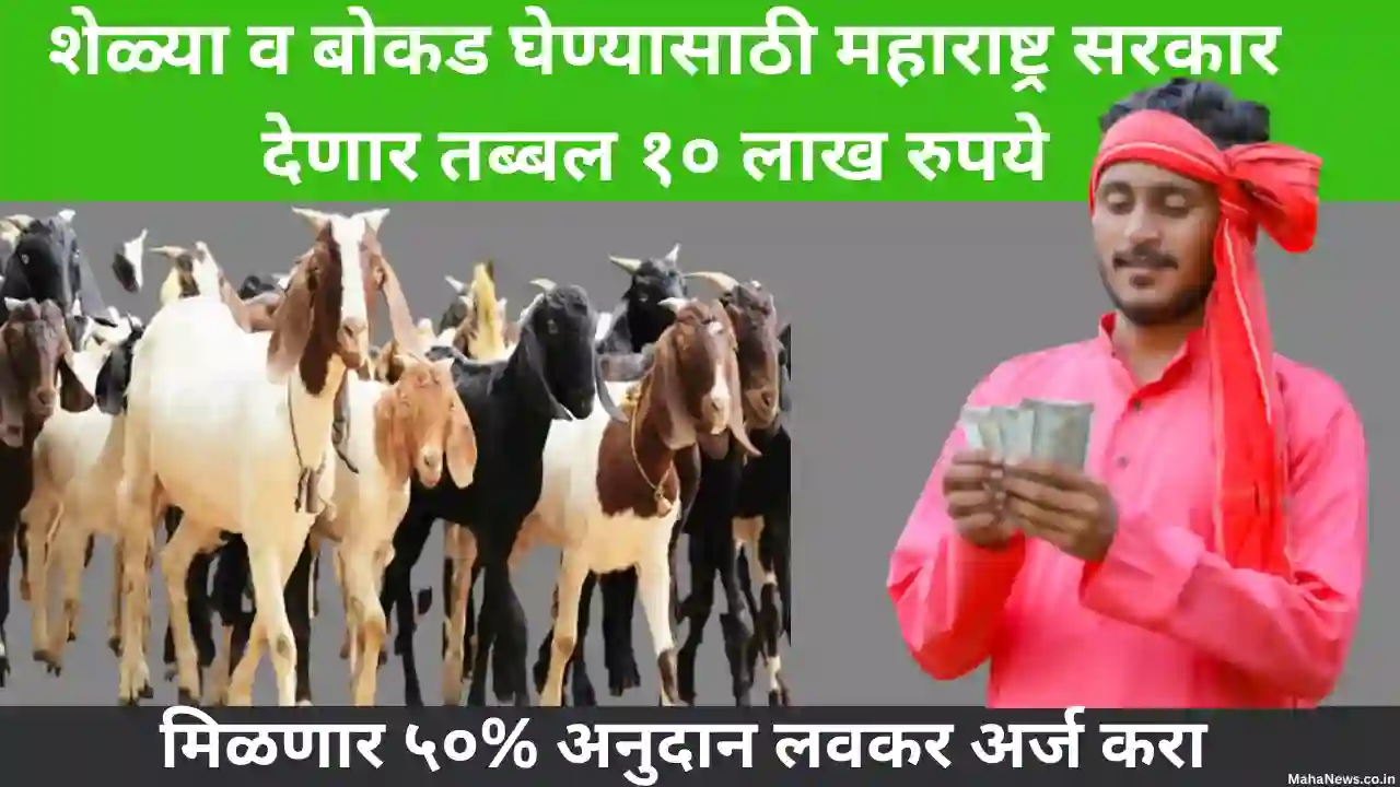 Maharashtra Sheli Palan Yojana 2023