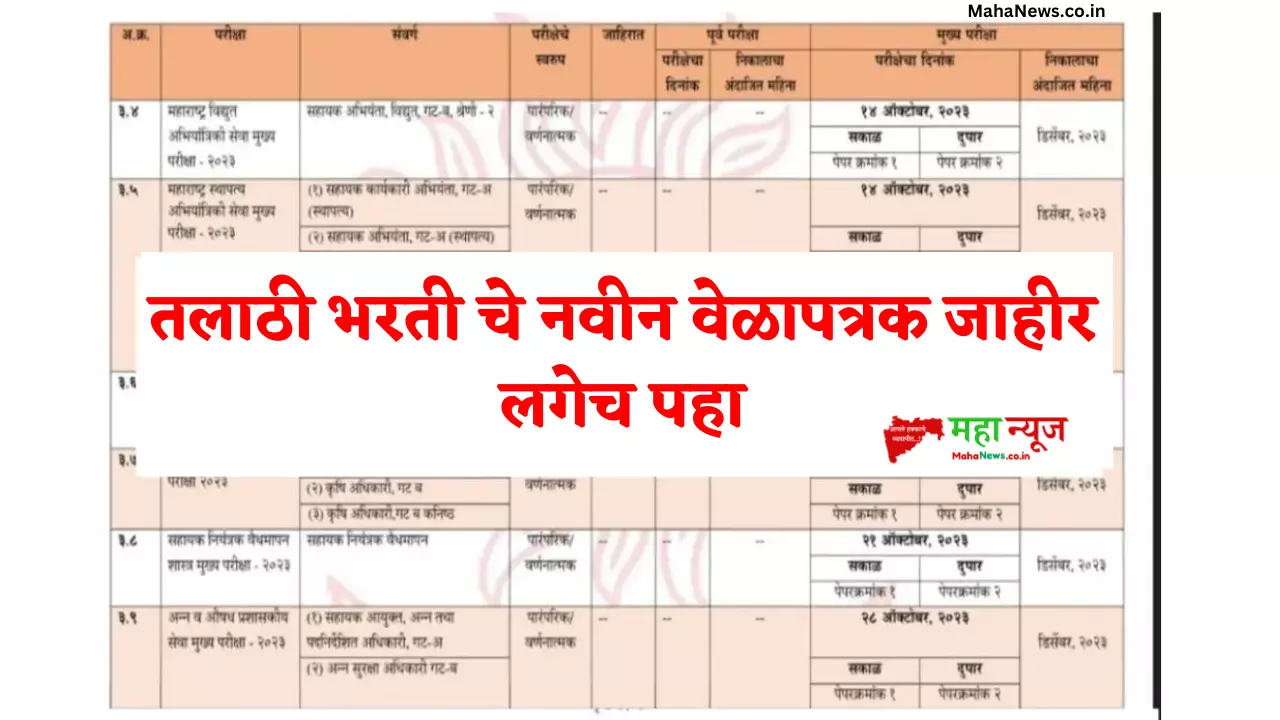 talathi bharti
