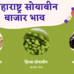maharashtra Soybean Bajar bhav