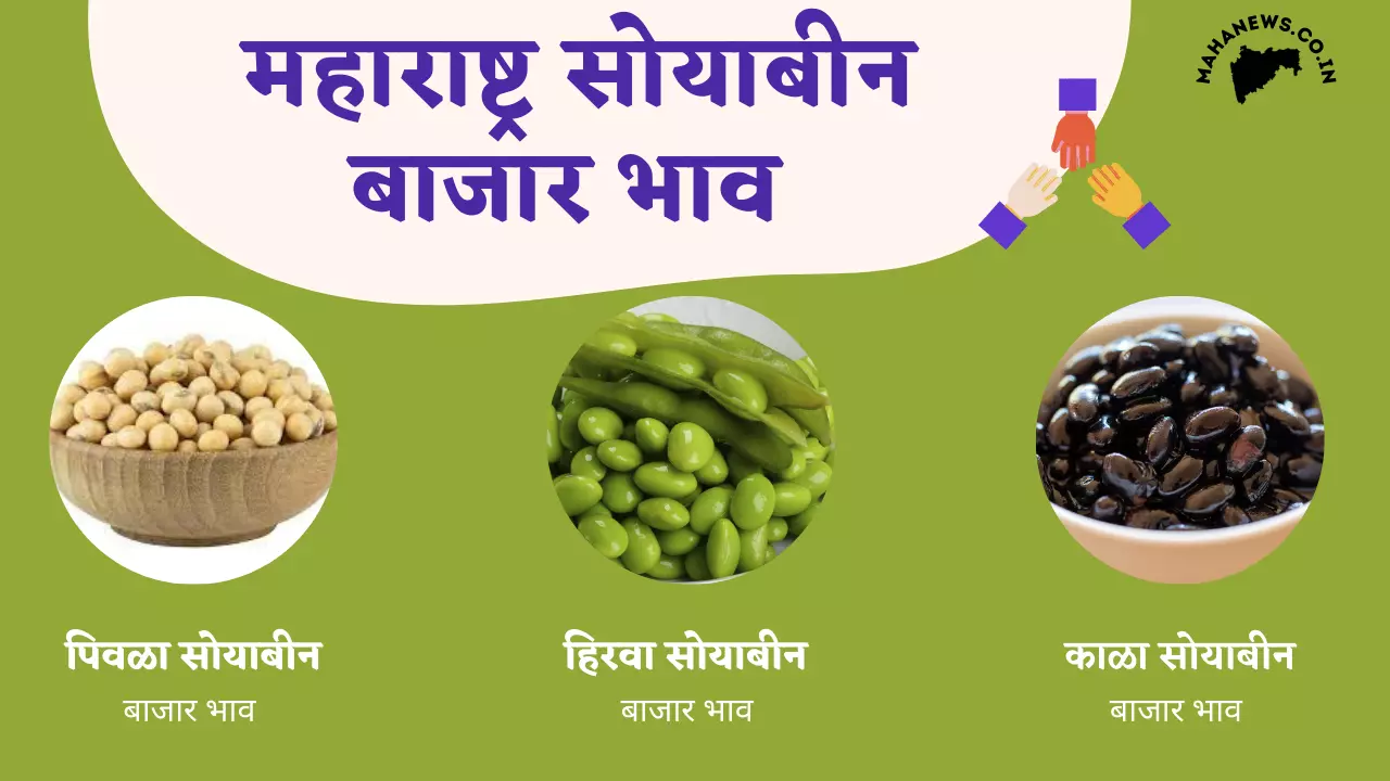 maharashtra Soybean Bajar bhav